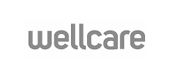Speech therapy insurance wellcare